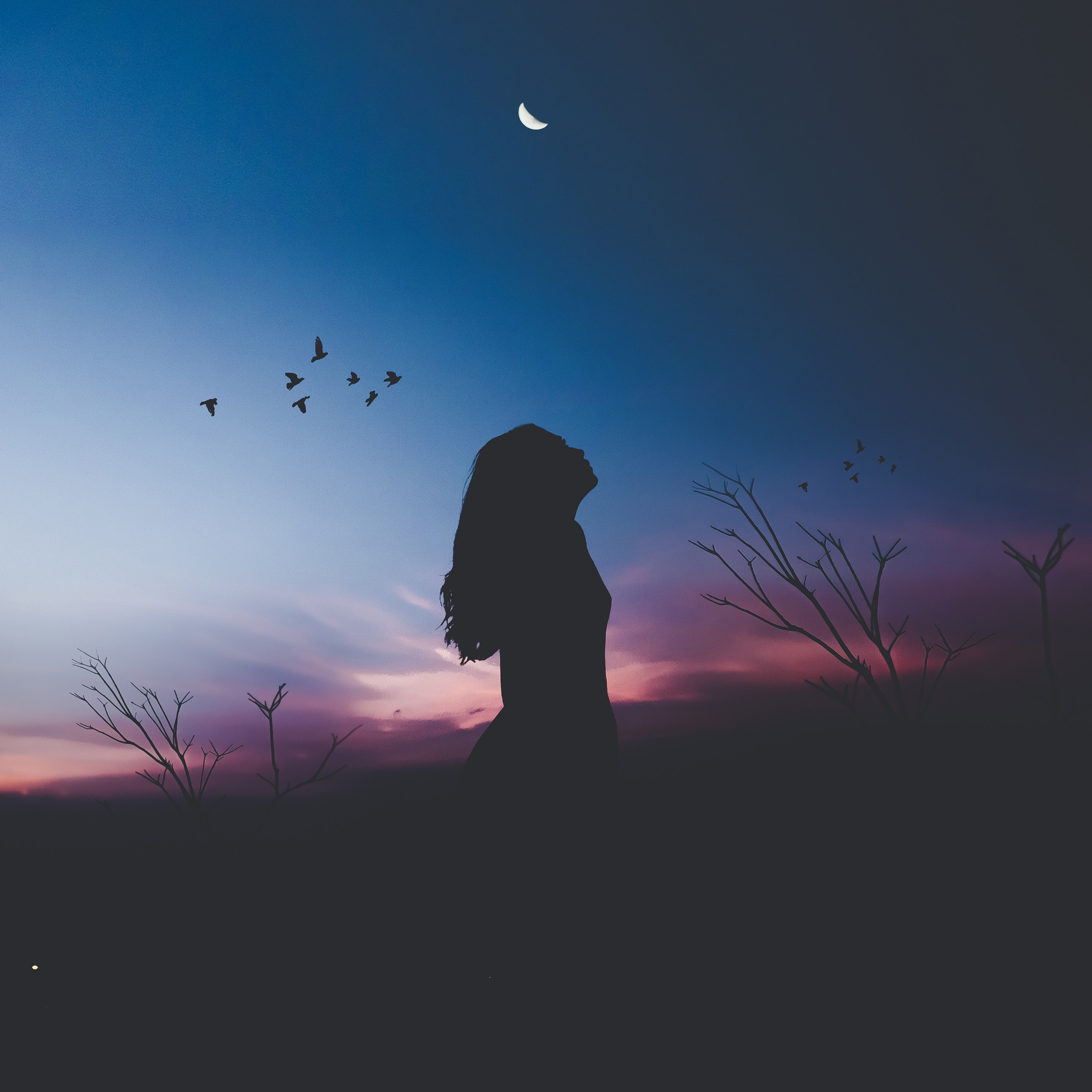 Girl Wallpaper 4K, Twilight, Silhouette, Sunset