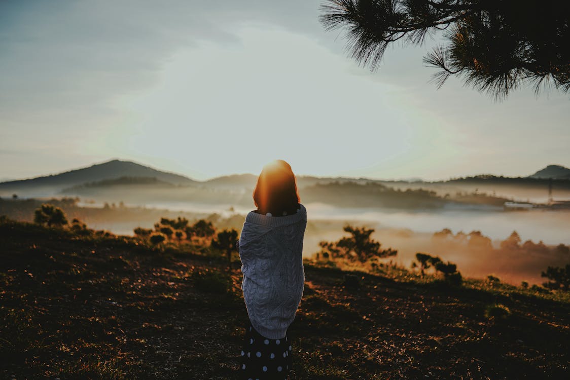Scenery · Free