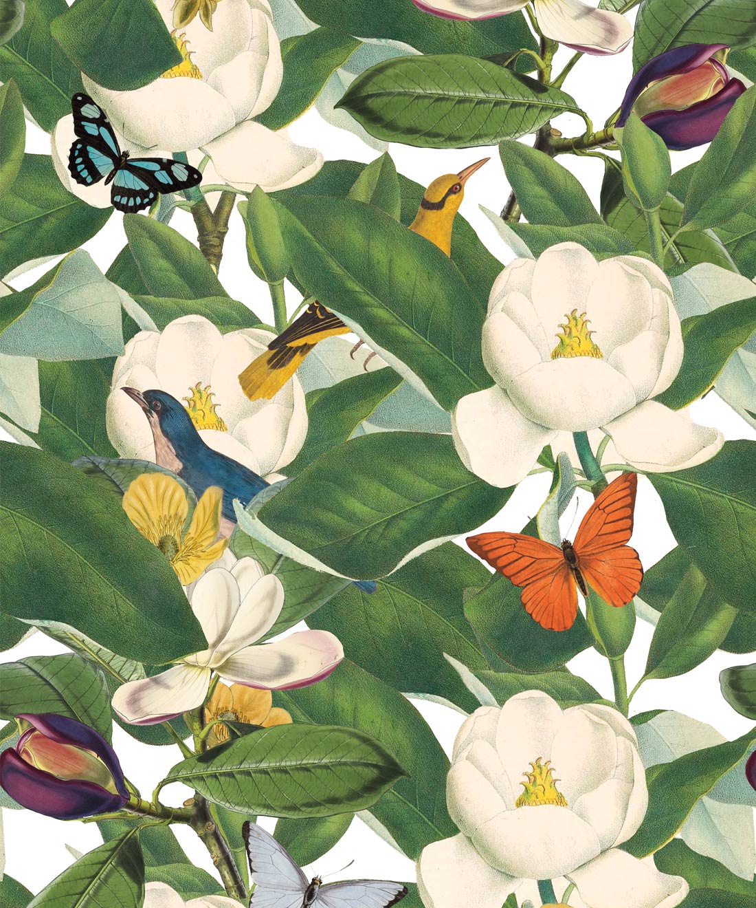 Magnolia Bloom Wallpaper • White Floral