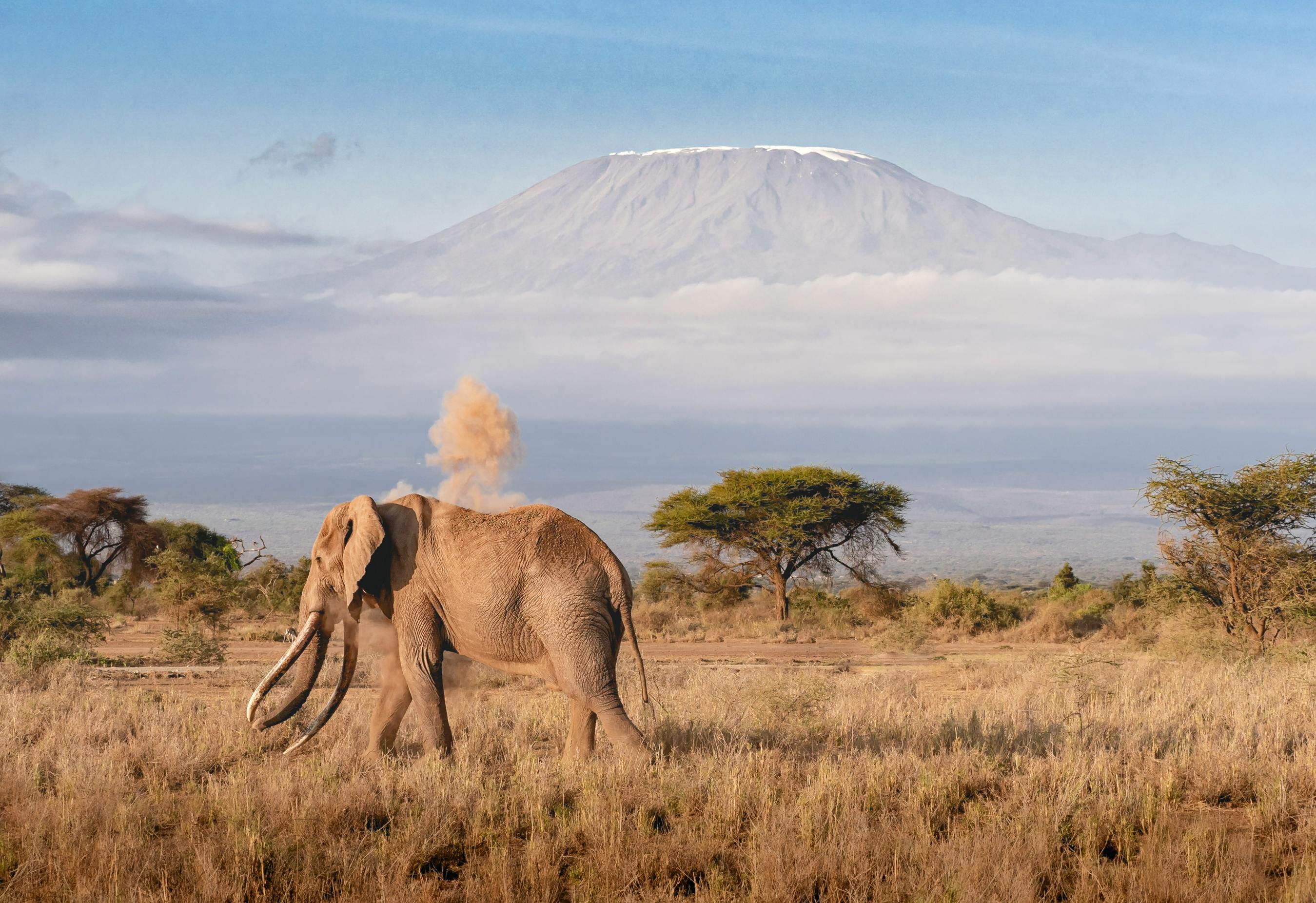 Mount Kilimanjaro Photo, Download