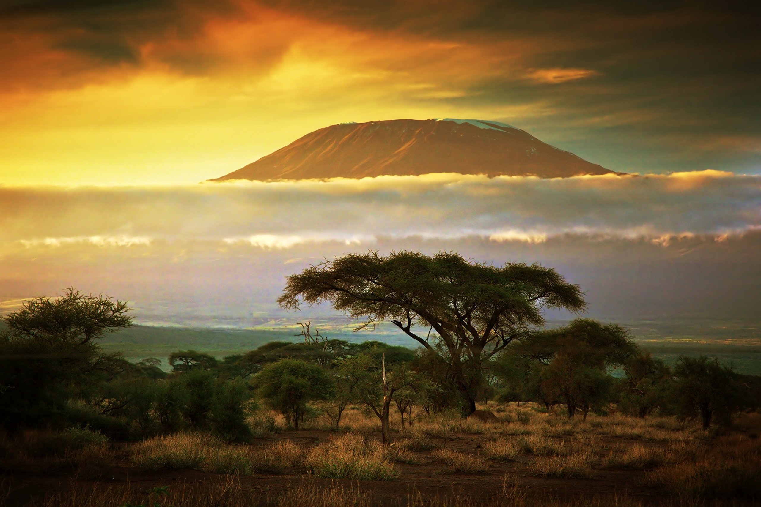 Mount Kilimanjaro Wallpaper