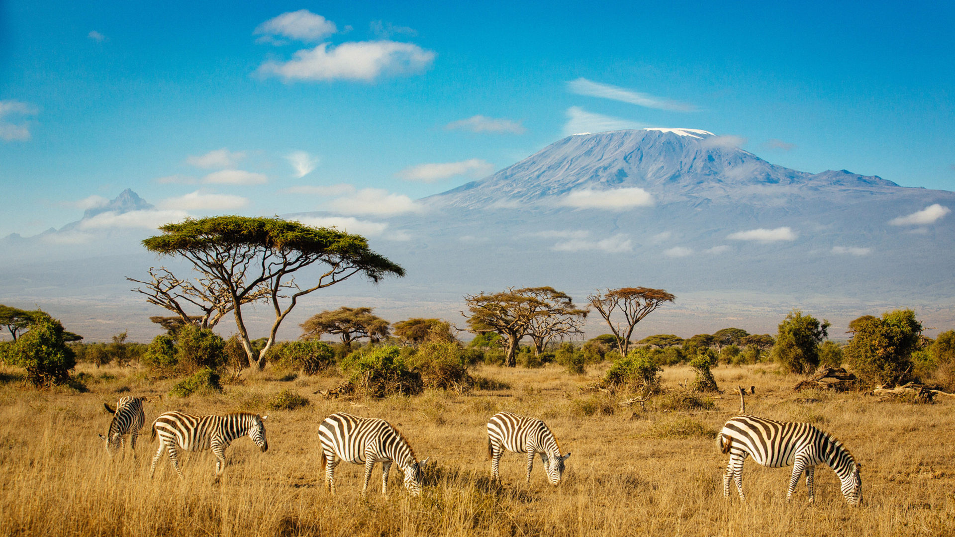 Mount Kilimanjaro Wallpaper