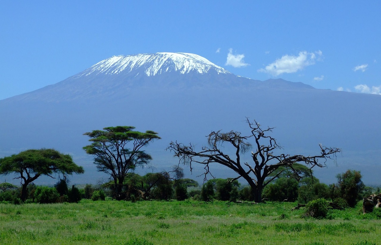 3,Free Mount Kilimanjaro