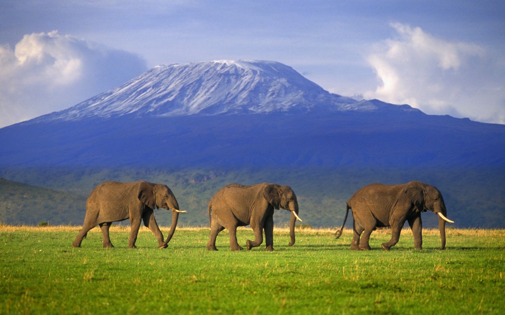 Mount Kilimanjaro Africa High