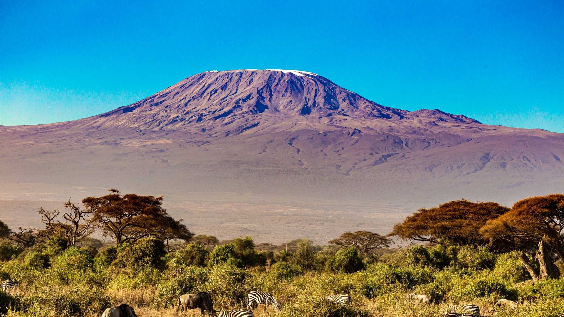 Africa Safari. Kilimanjaro National Park