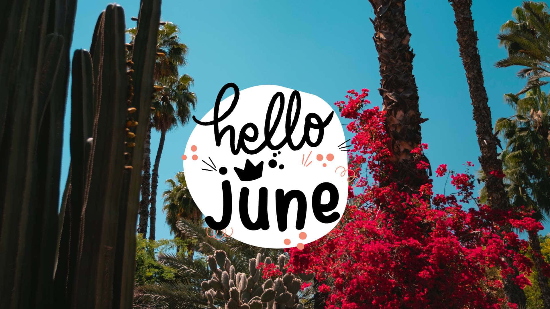 Hello June Wallpaper