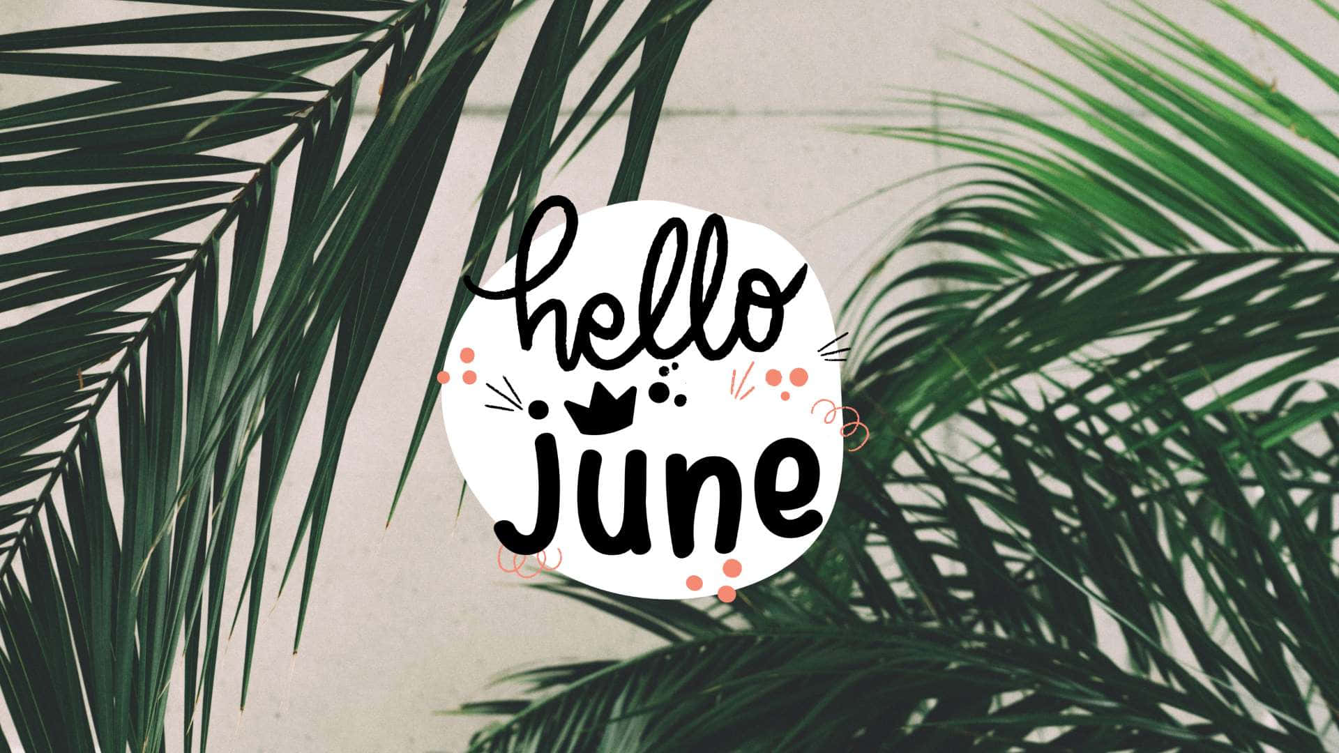 Hello June Wallpaper