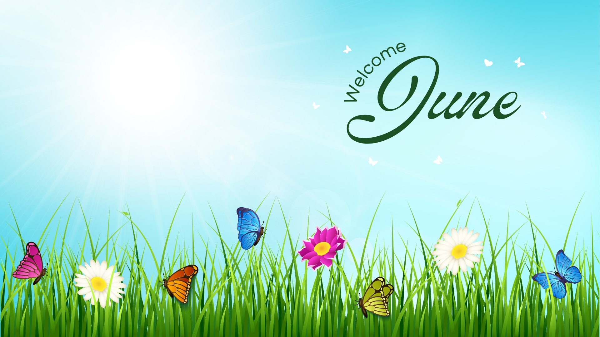 June Wallpaper HD Free Download