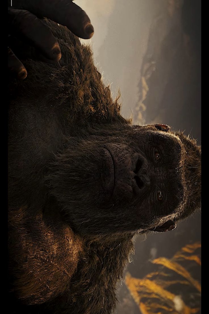 godzilla vs kong HD wellpaper