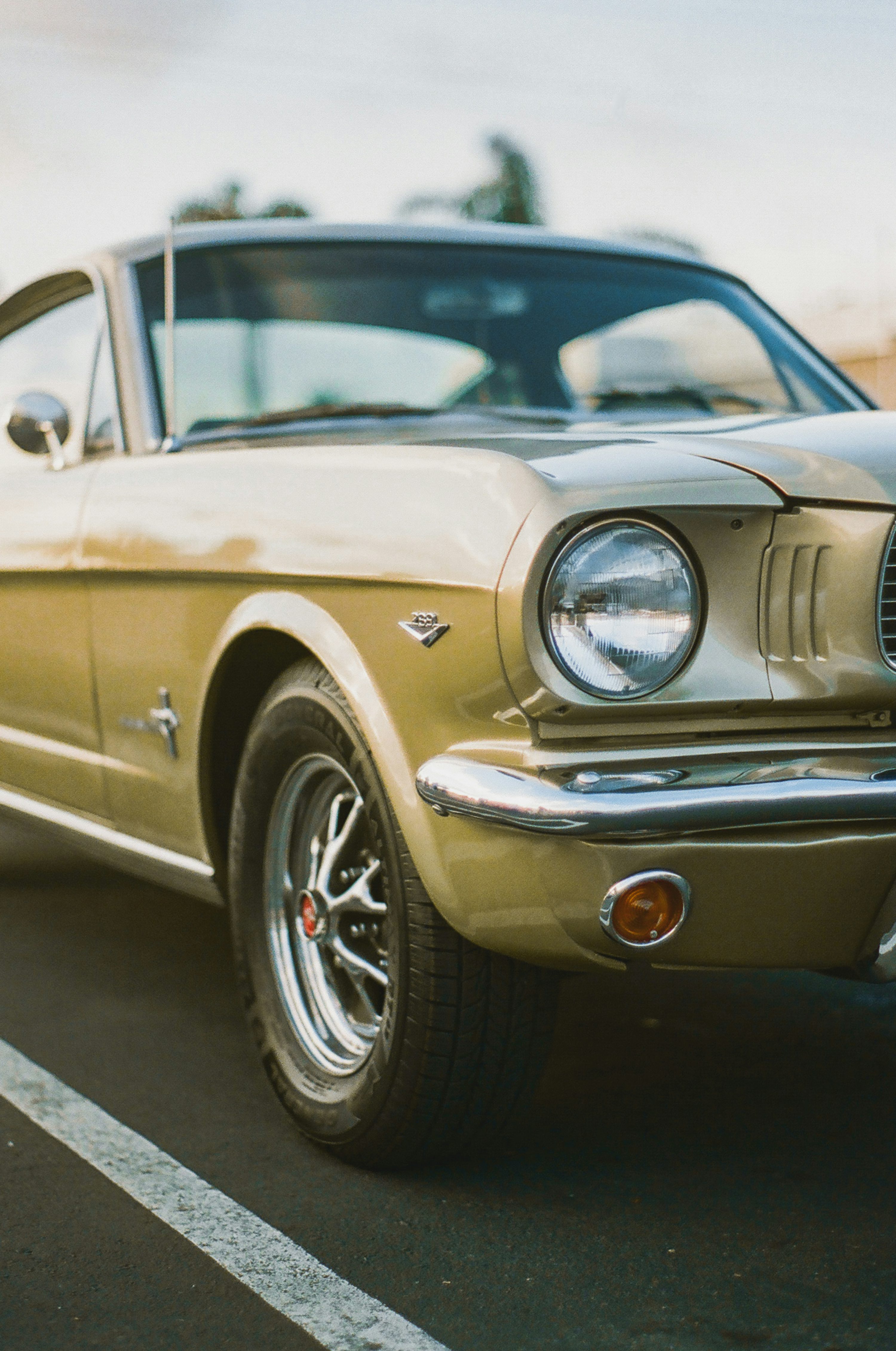 Beige vintage car on road photo