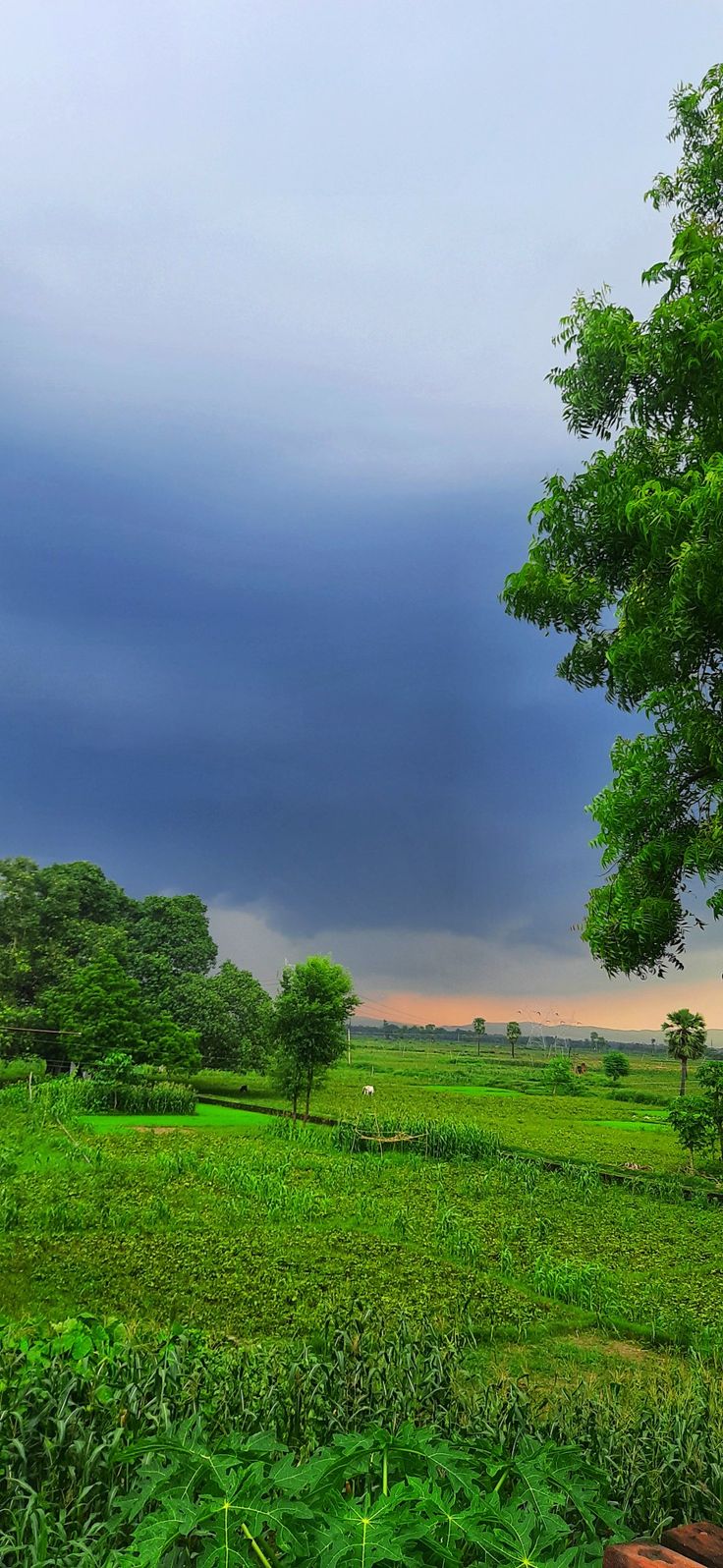 Village Nature Android Wallpaper