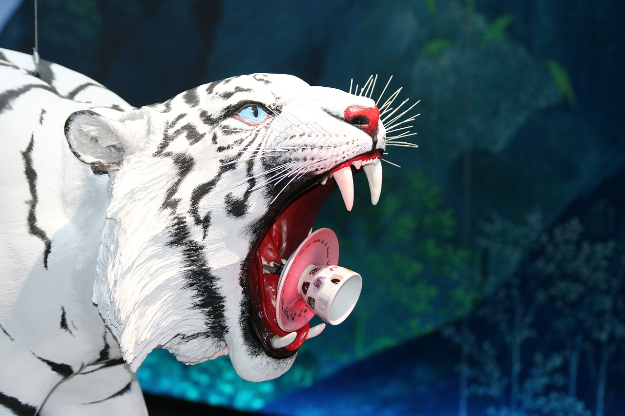 Download free photo of Tiger, white