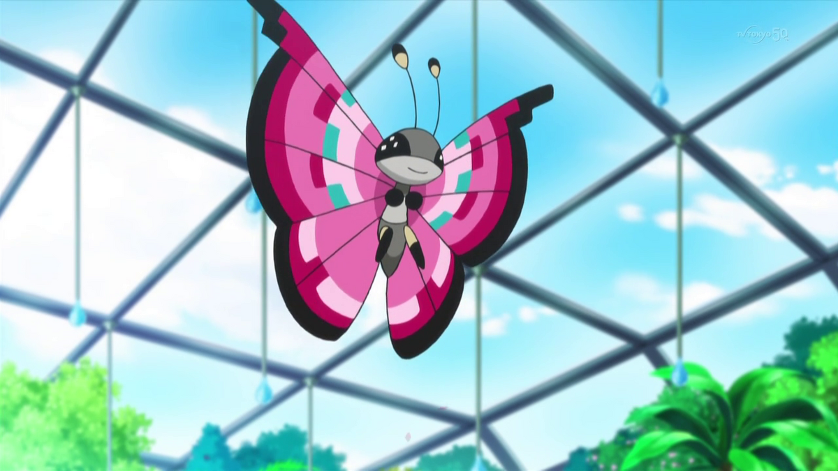 Viola's Vivillon (anime). Pokémon