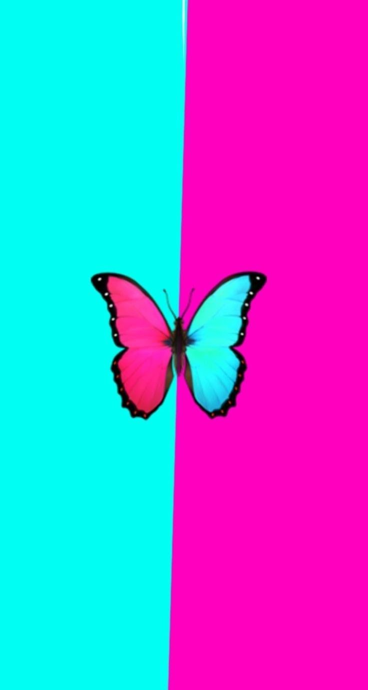Pink and Blue Butterfly Wallpaper