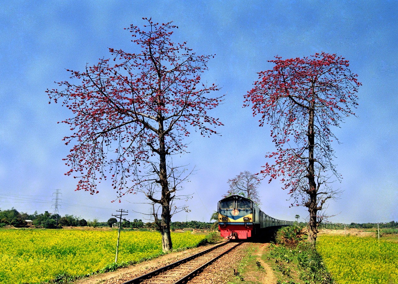 Bangladesh Train Landscape Blue
