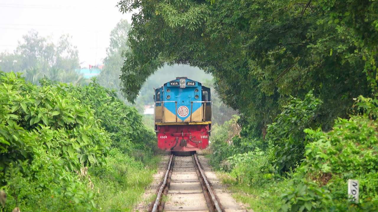 Trainural Tree Tunnel