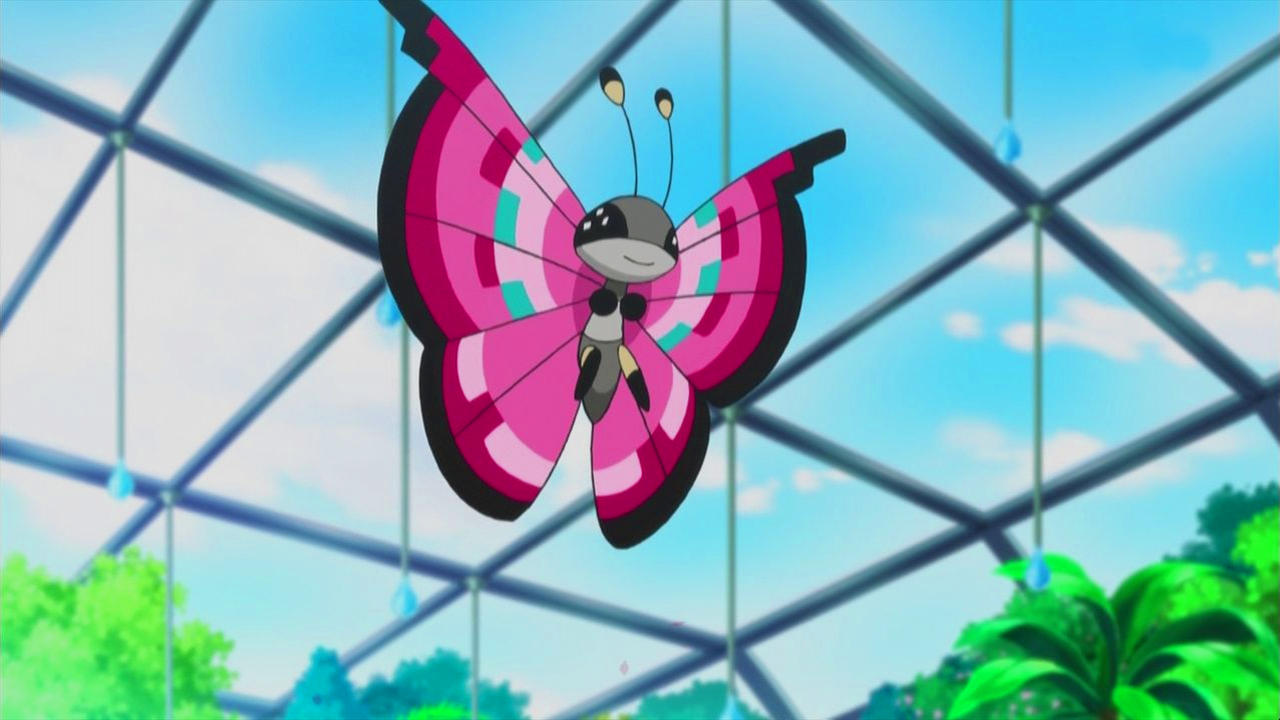 Viola's Vivillon. International