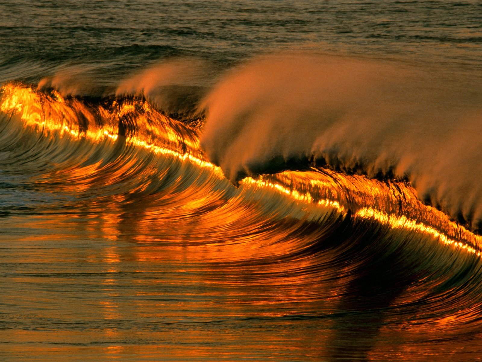 Golden Ocean Wave HD Wallpaper