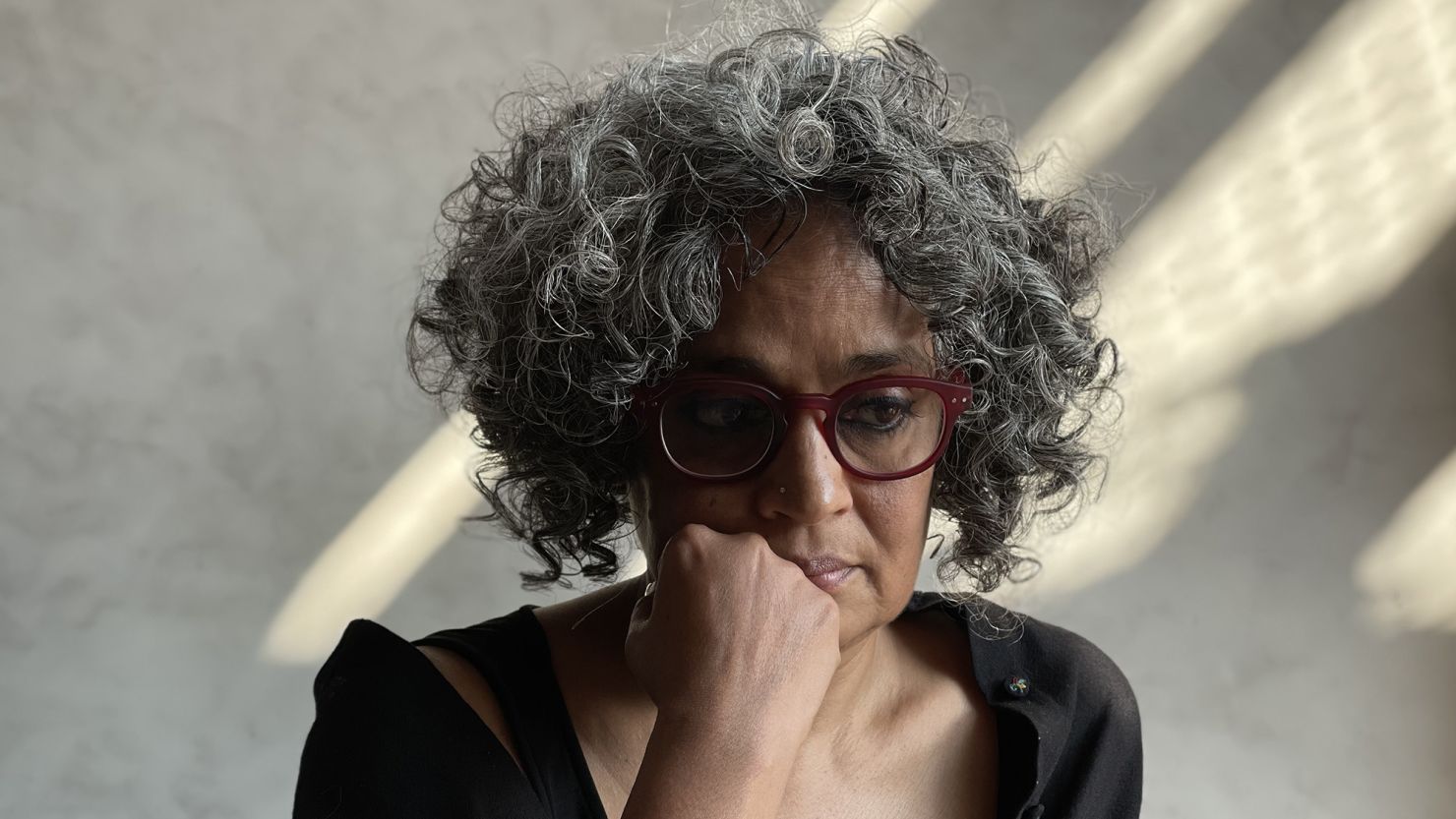 Arundhati Roy: 'The damage to Indian