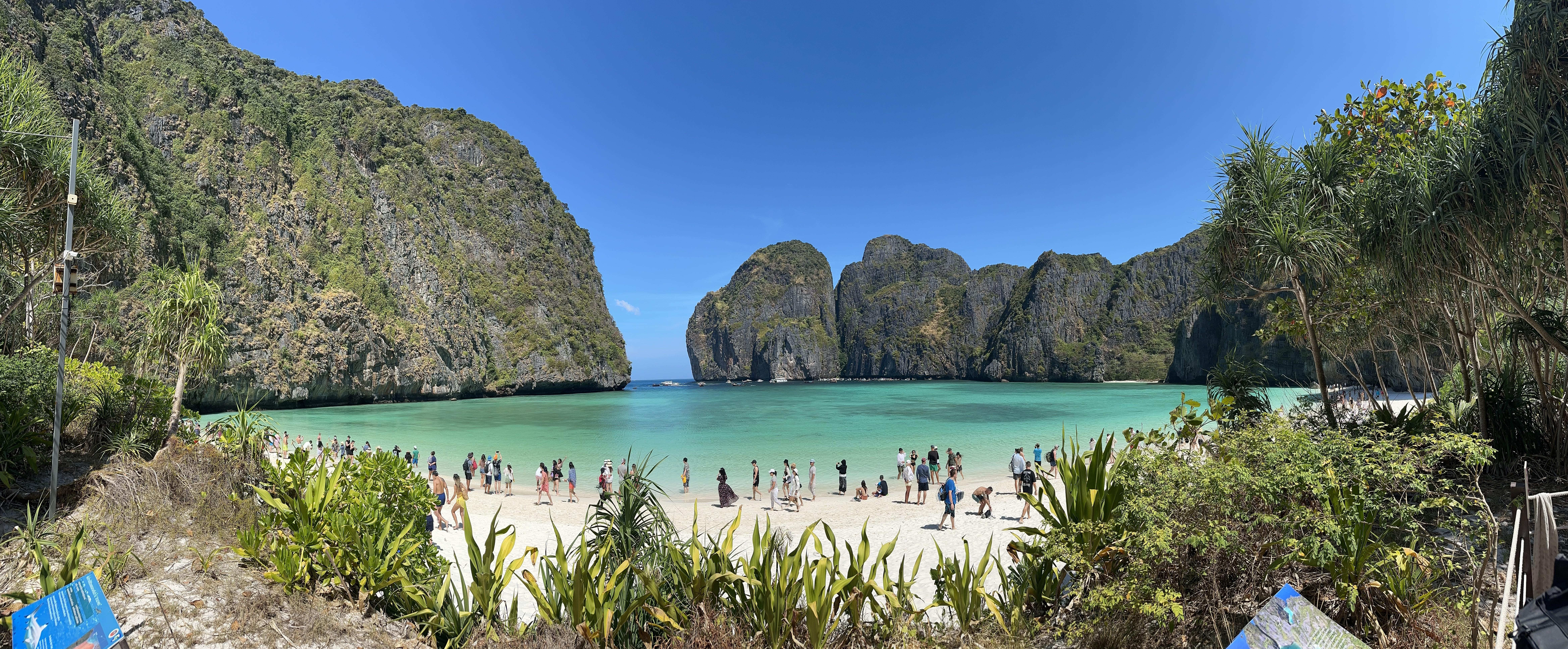 Rare spot Bay, taken last week