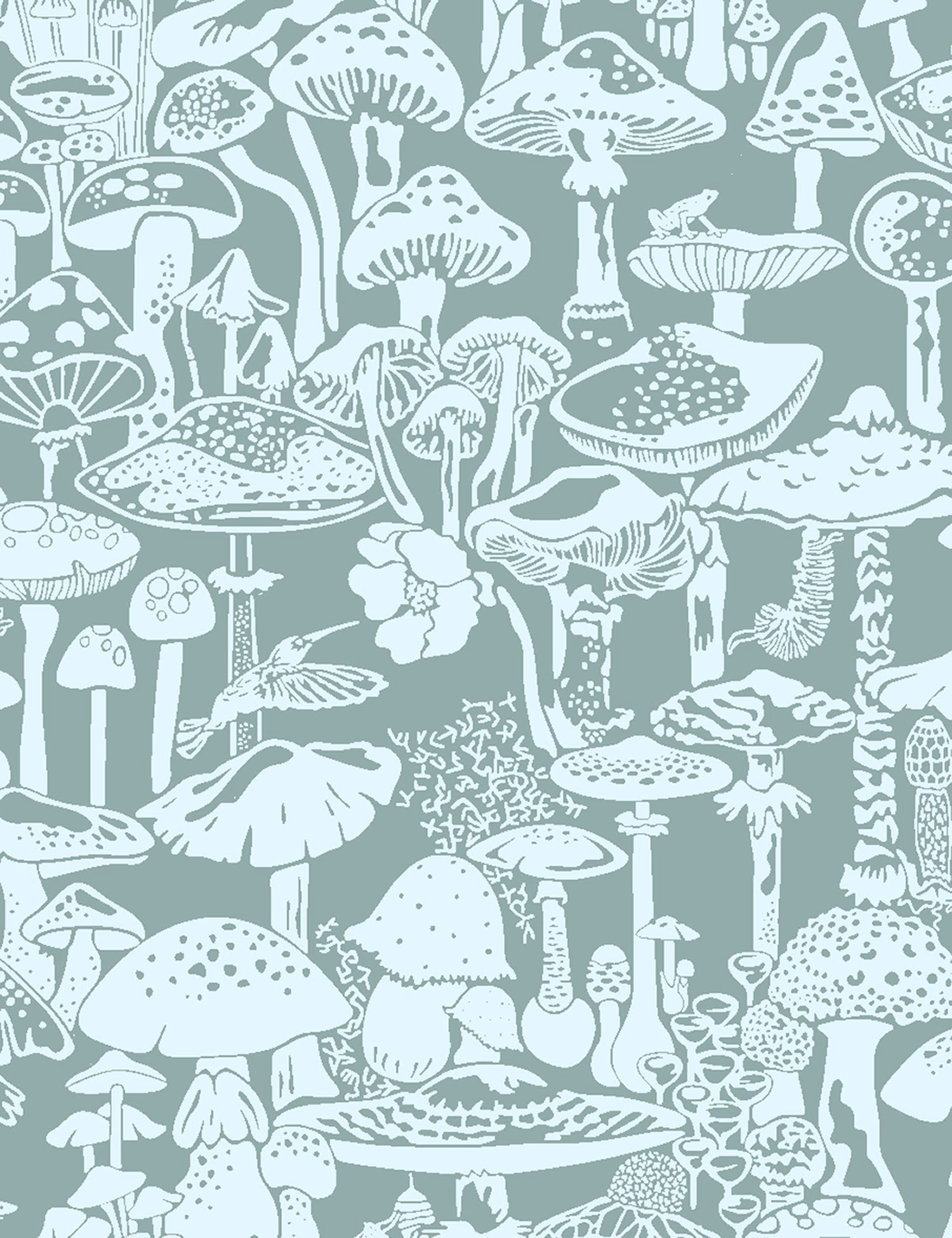 Mushroom Collection Wallpapers - Wallpaper Cave