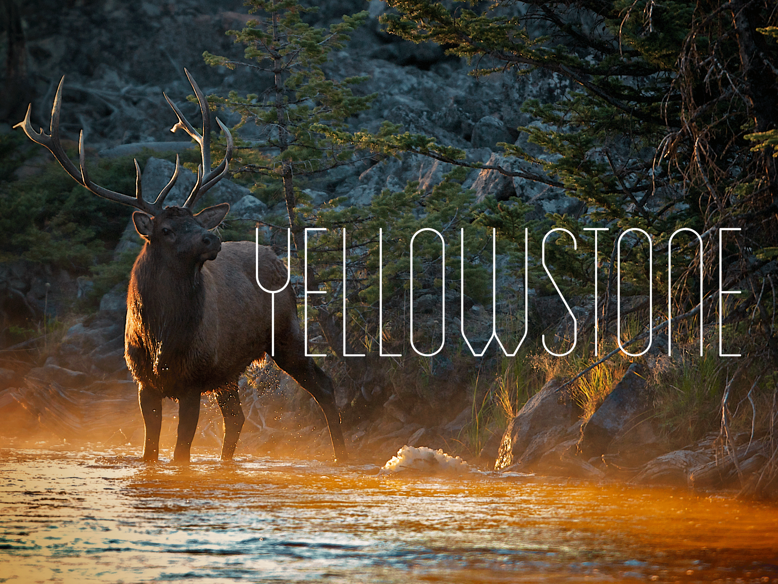Watch Yellowstone