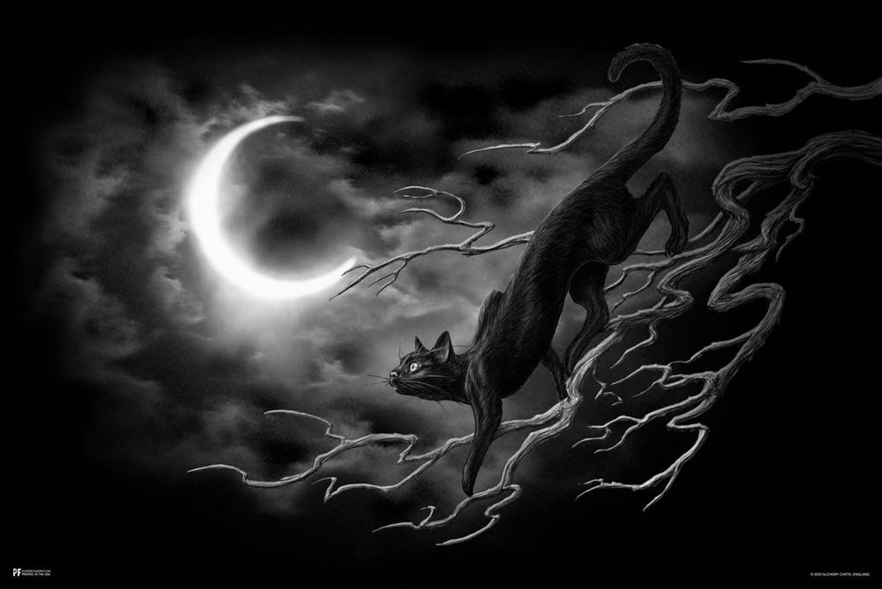 Alchemy Black Cat Minnaloushe Crescent