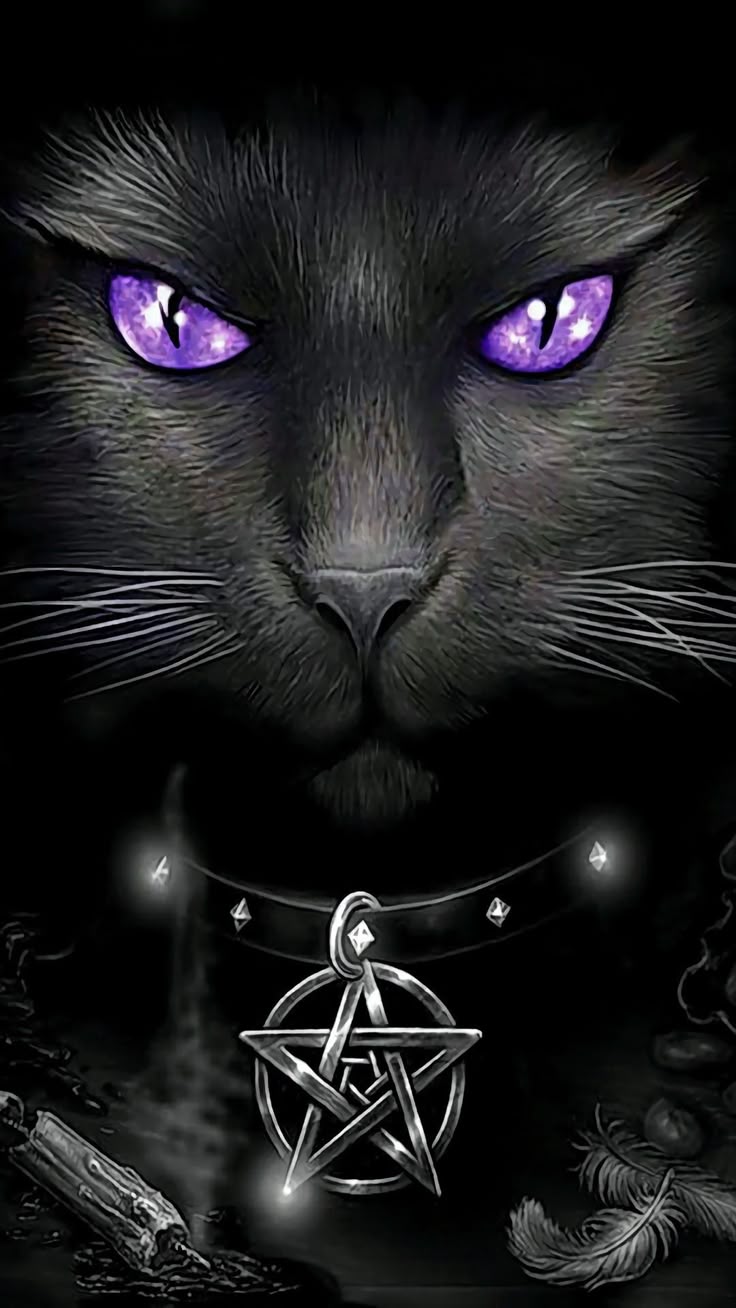 Black Cat with Inverted Pentagramil Collar