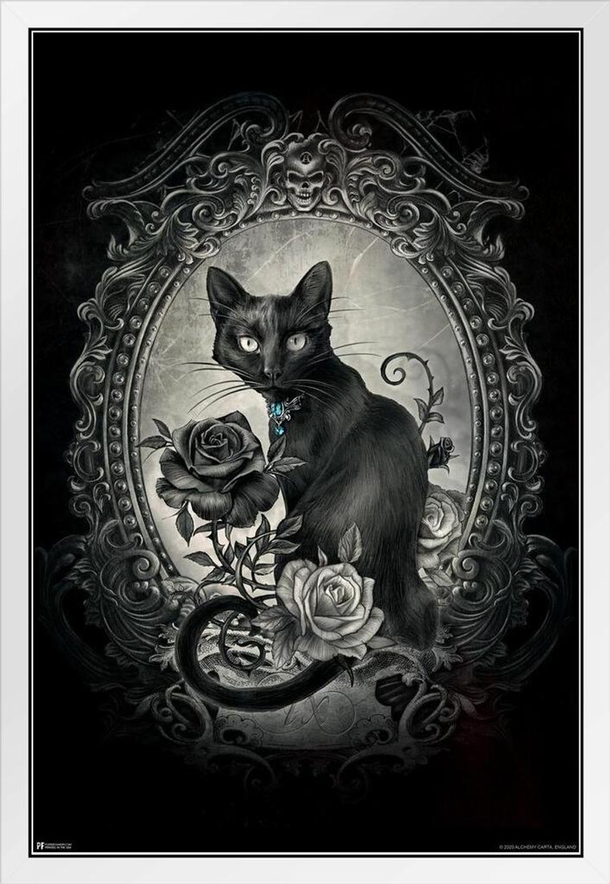 Alchemy Paracelsus Black Cat Gothic