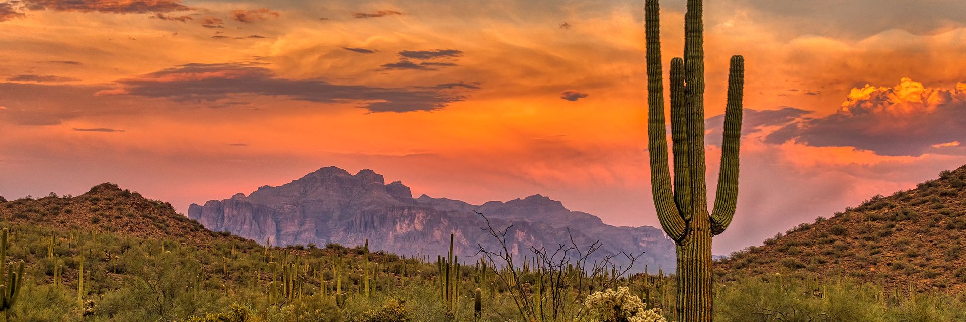 Global economy: the good