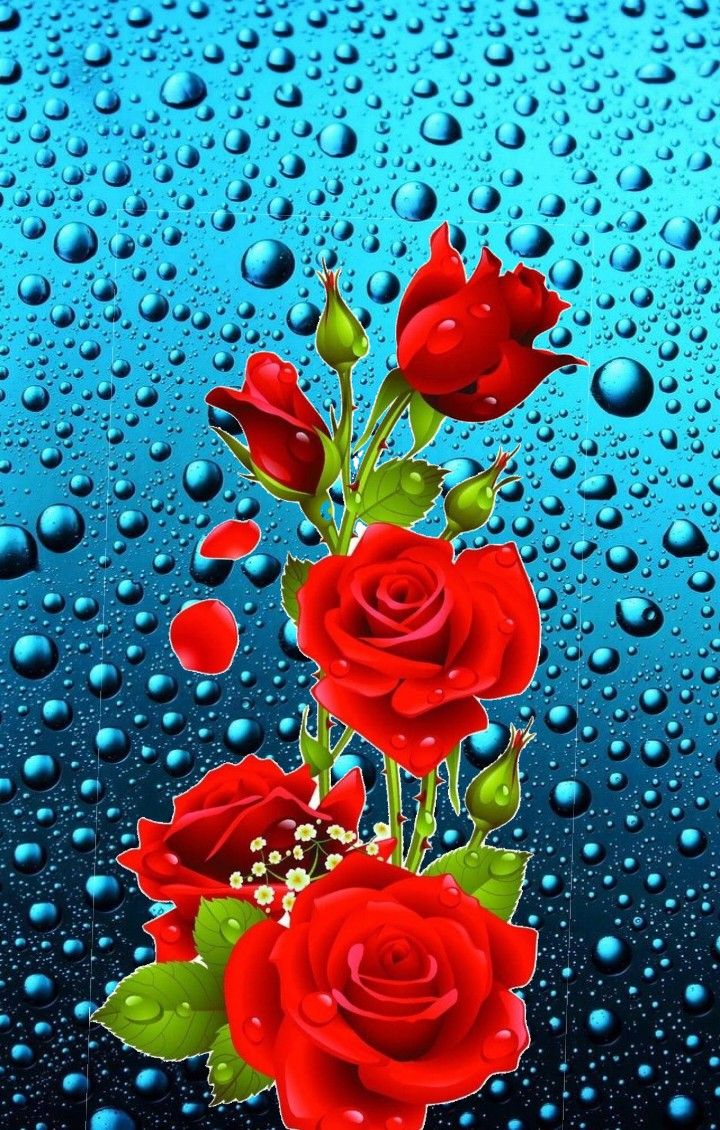 Vibrant Red Roses with Water Droplets