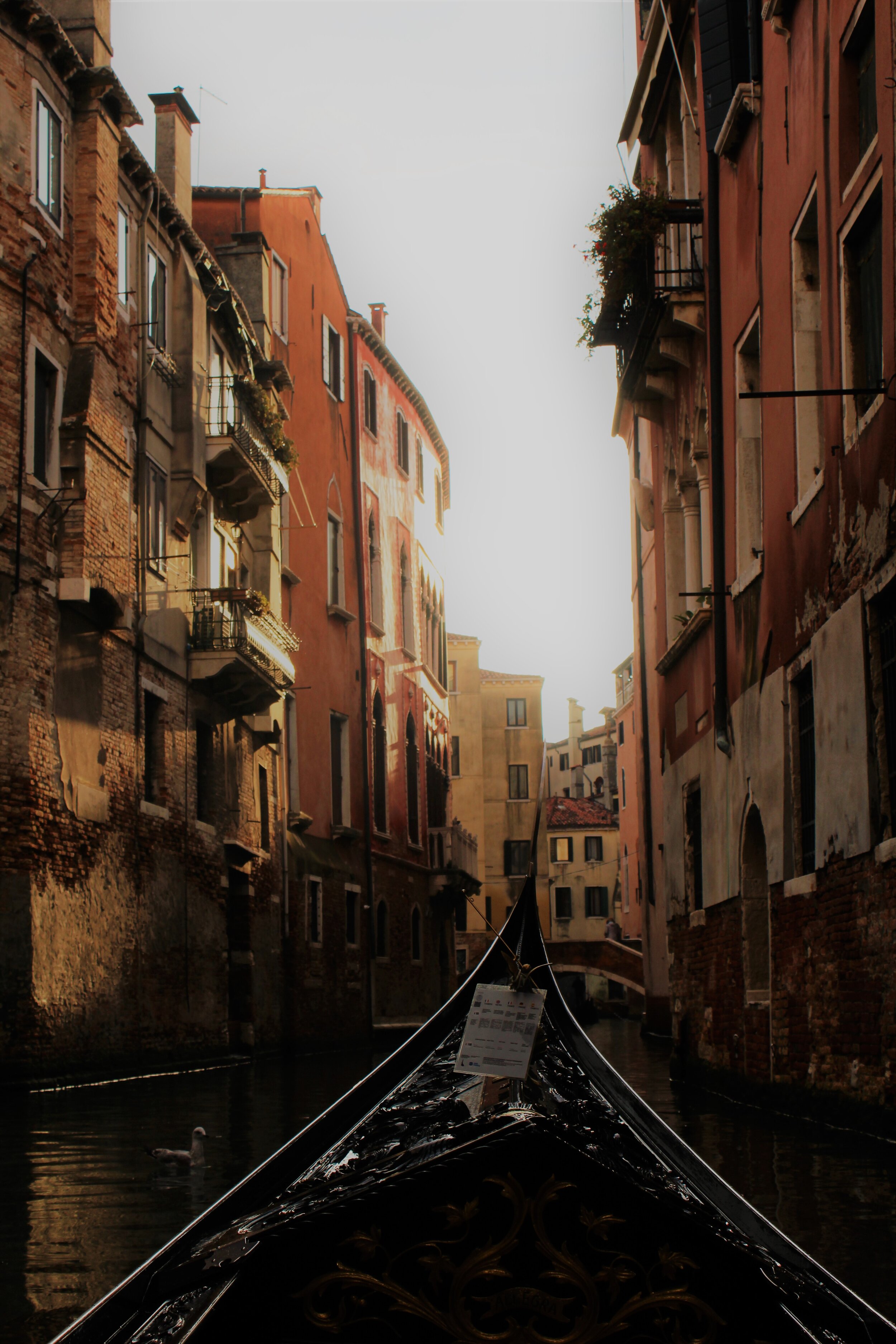 Venice Gondola Experience