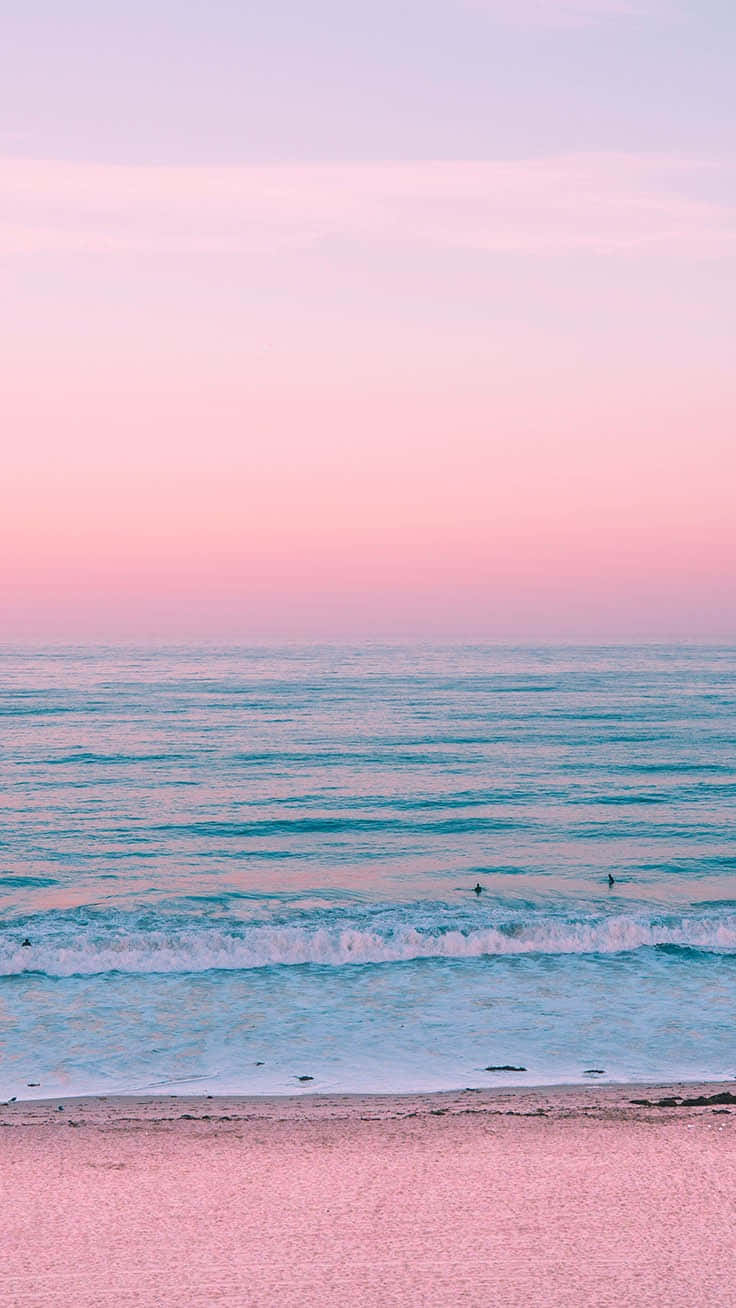 Download A Pink Sunset On The Beach