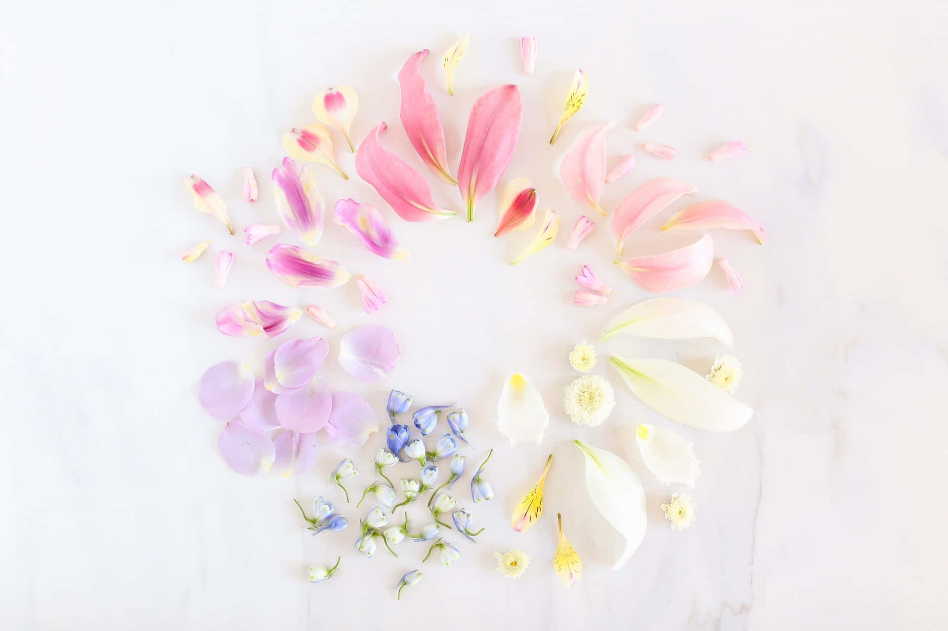 Pastel Summer Wallpaper