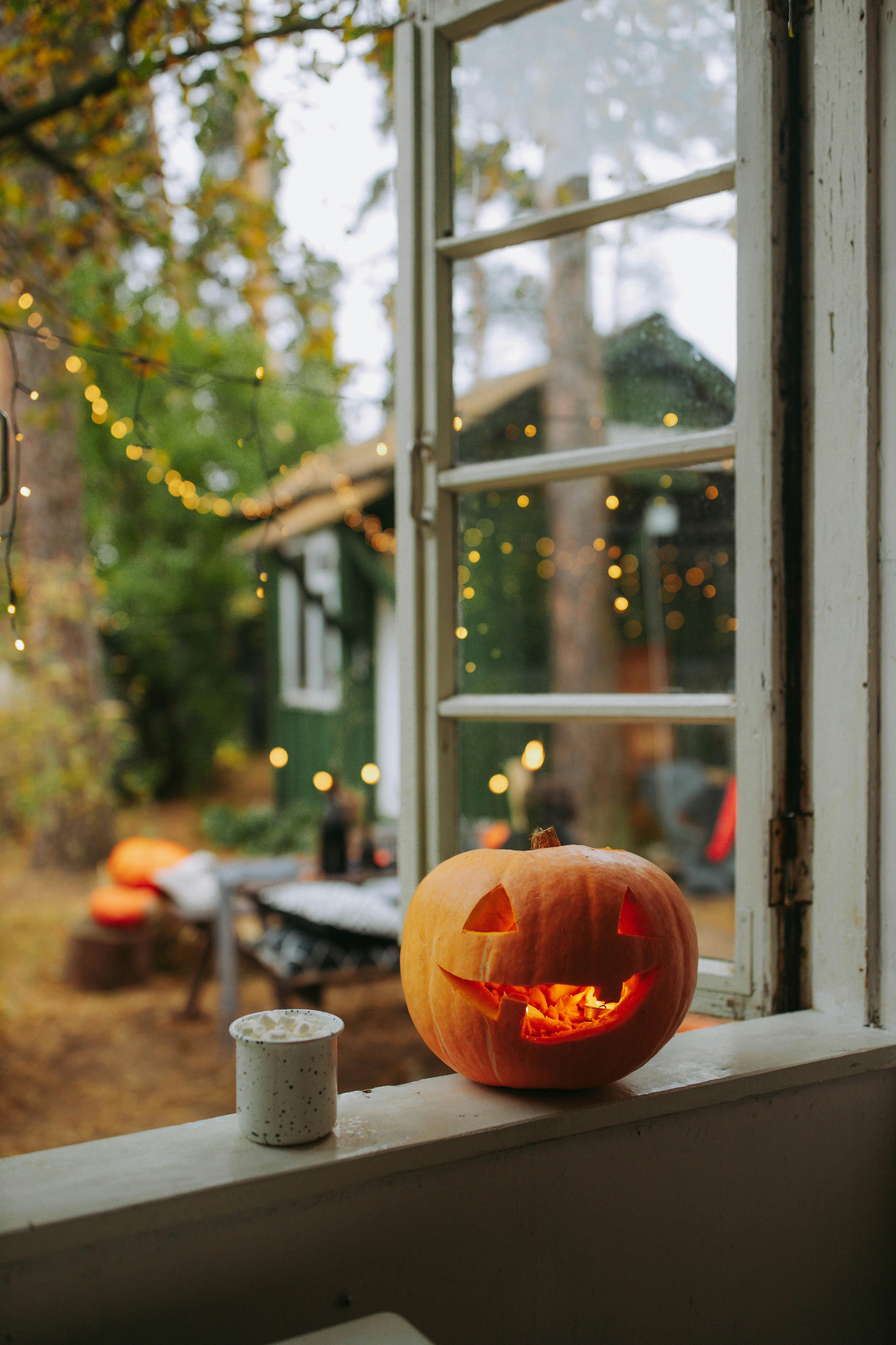 Halloween Pumpkin on the Window · Free