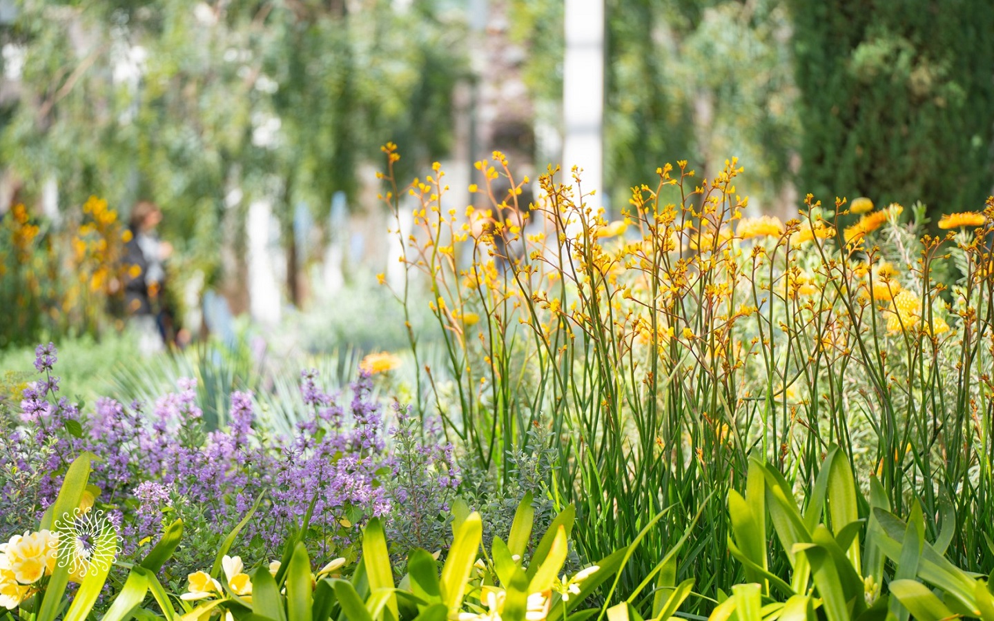 Desktop Wallpaper & Background