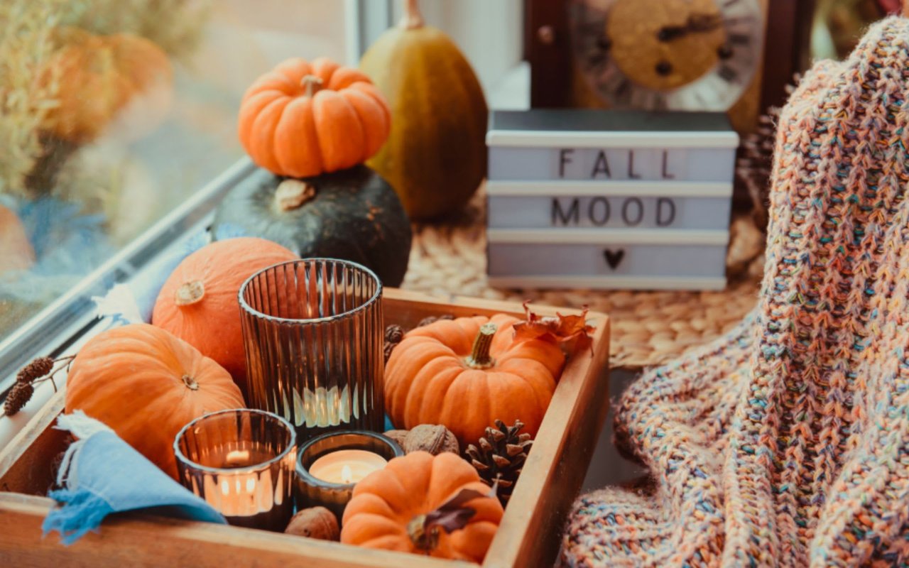 How Much Halloween Decor is Okay When