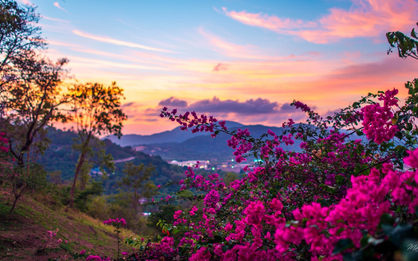 Beautiful Spring Nature Wallpaper