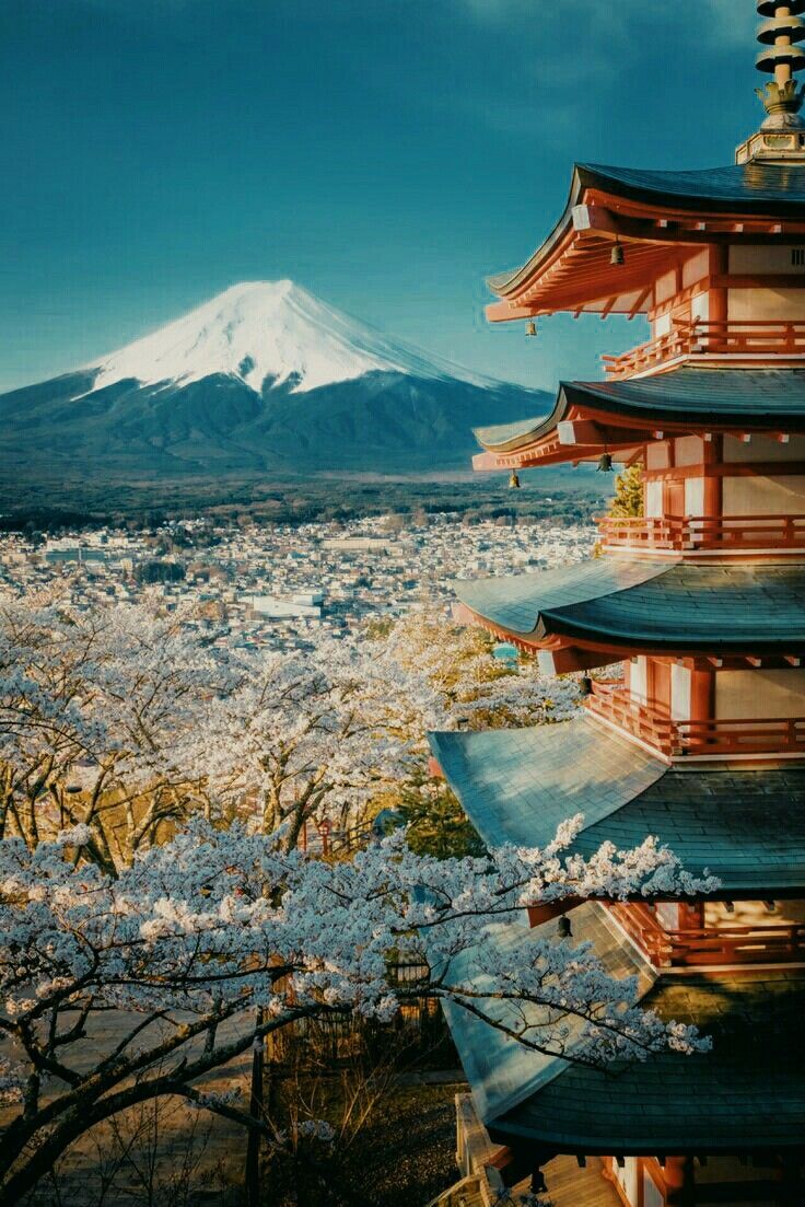 Mount fuji. Tokyo. Japan. aesthetic