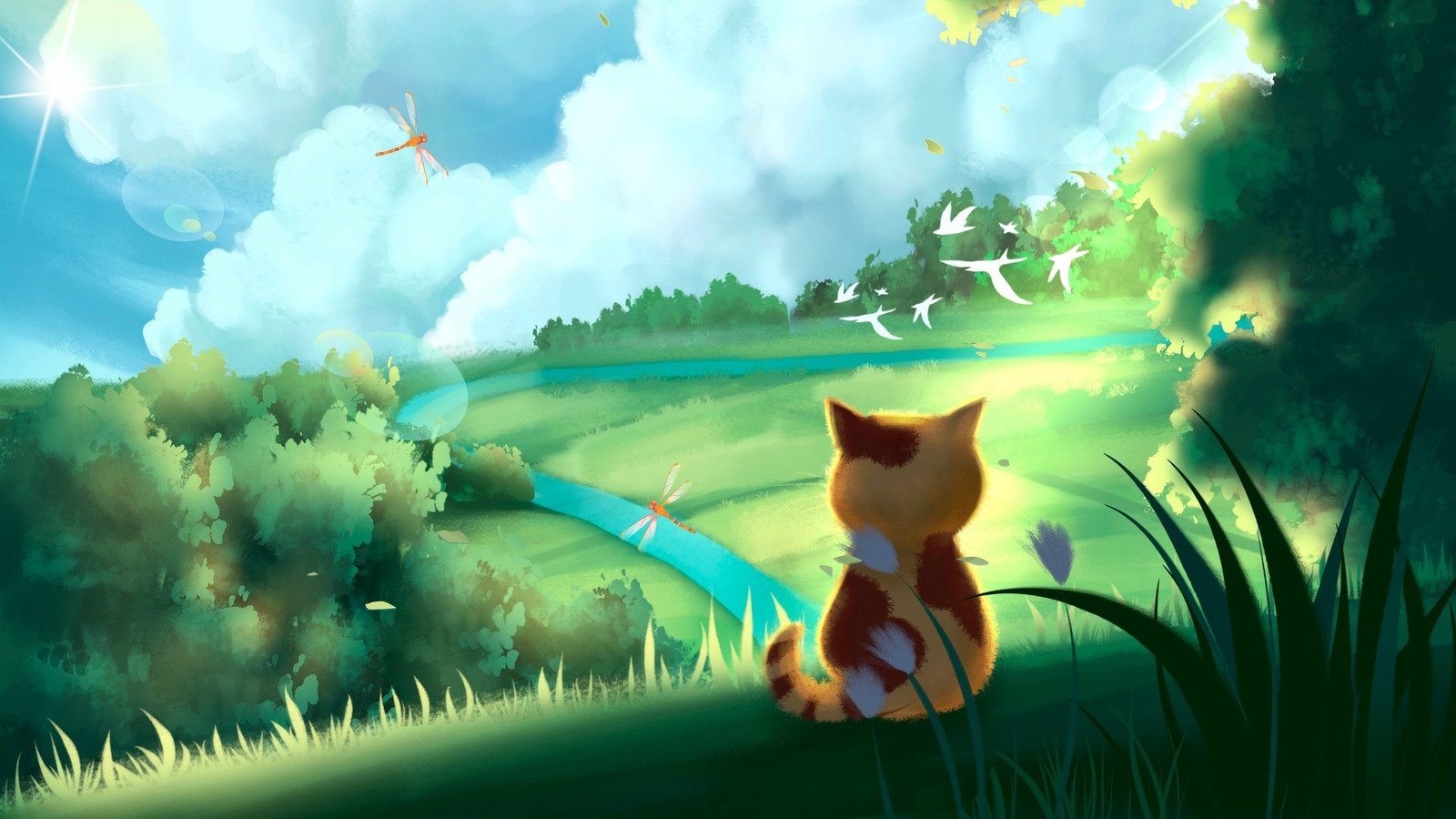 Cat Desktop Wallpaper Online