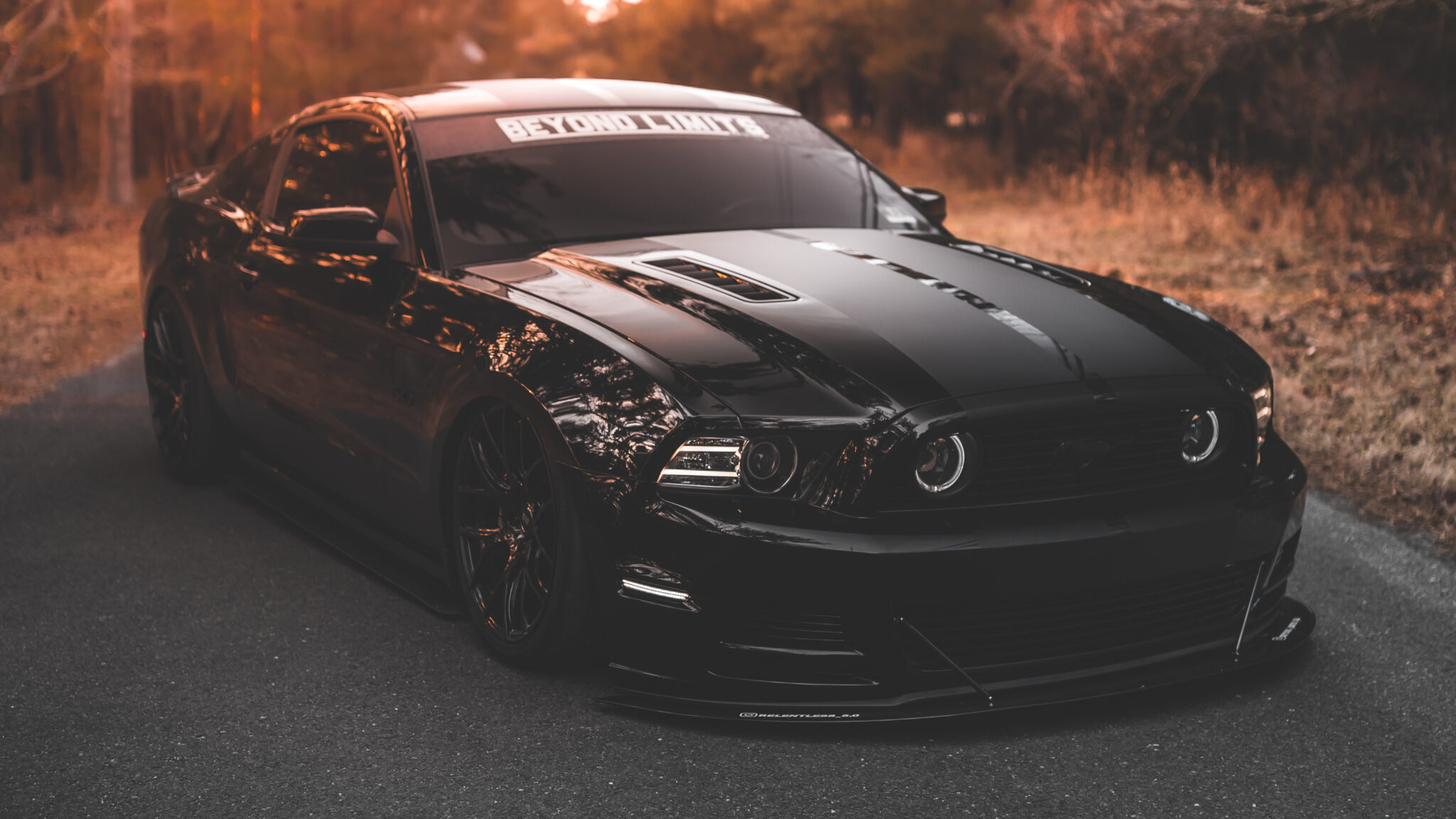 Relentless_5.0 • 2013 Ford Mustang GT
