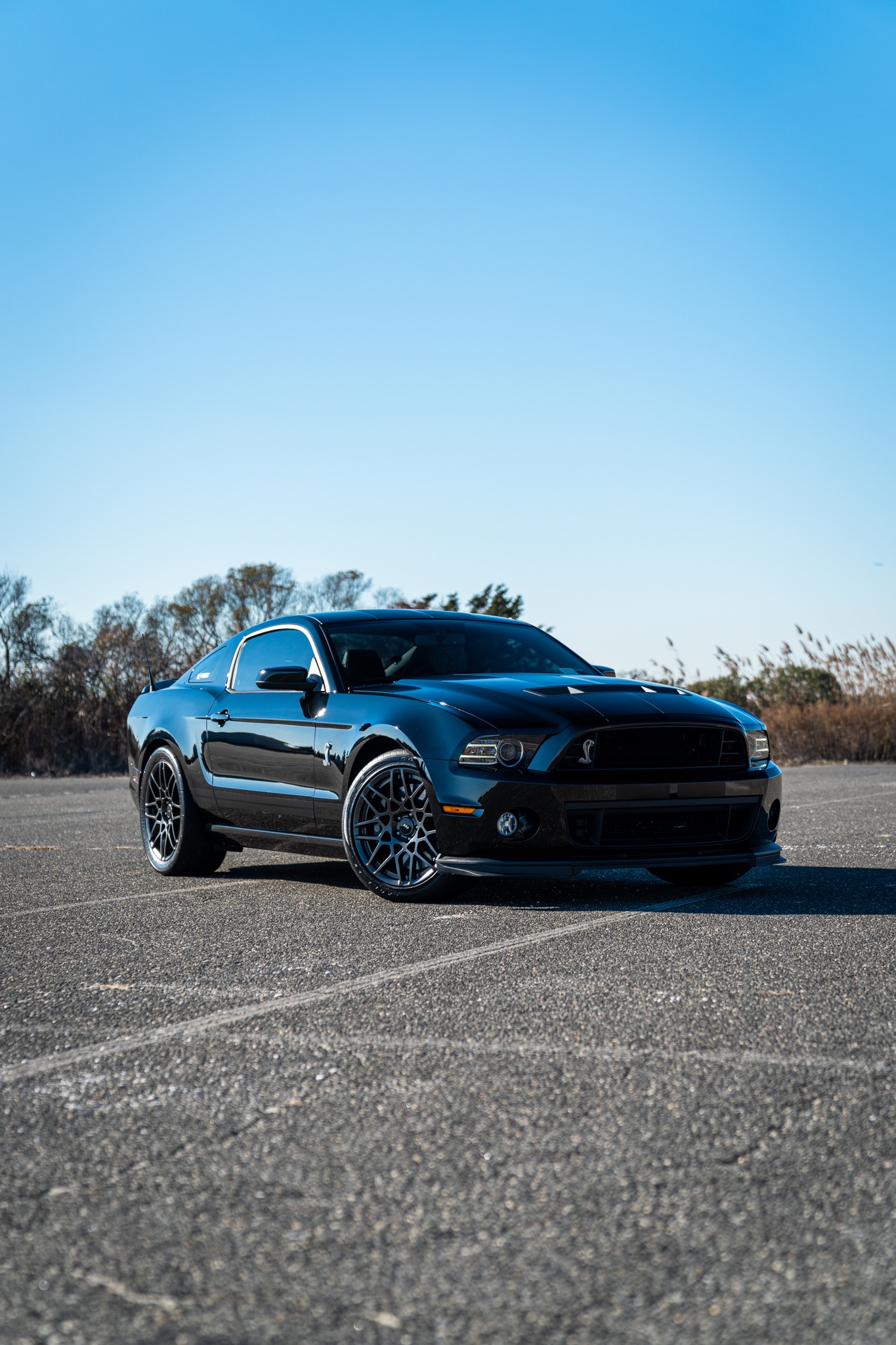 Used 2013 Ford Mustang Shelby GT500