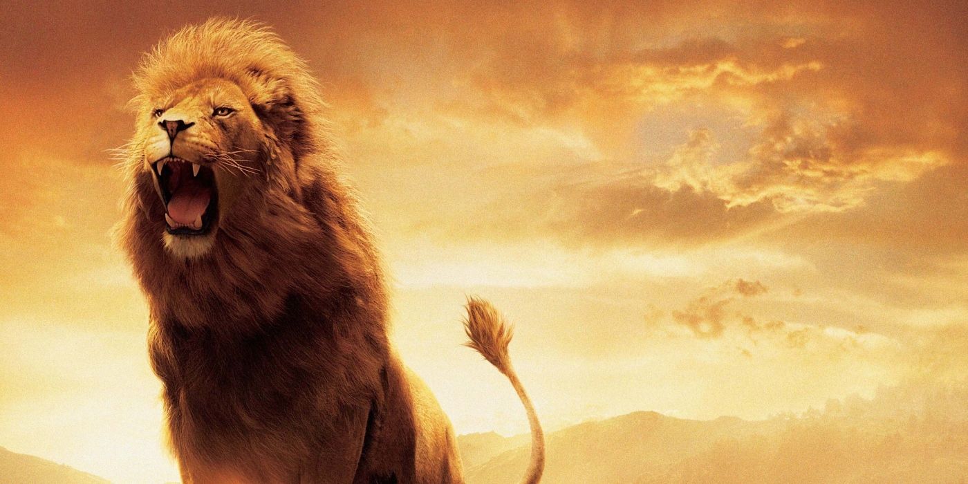 Greta Gerwig's Upcoming 'Narnia' Movies