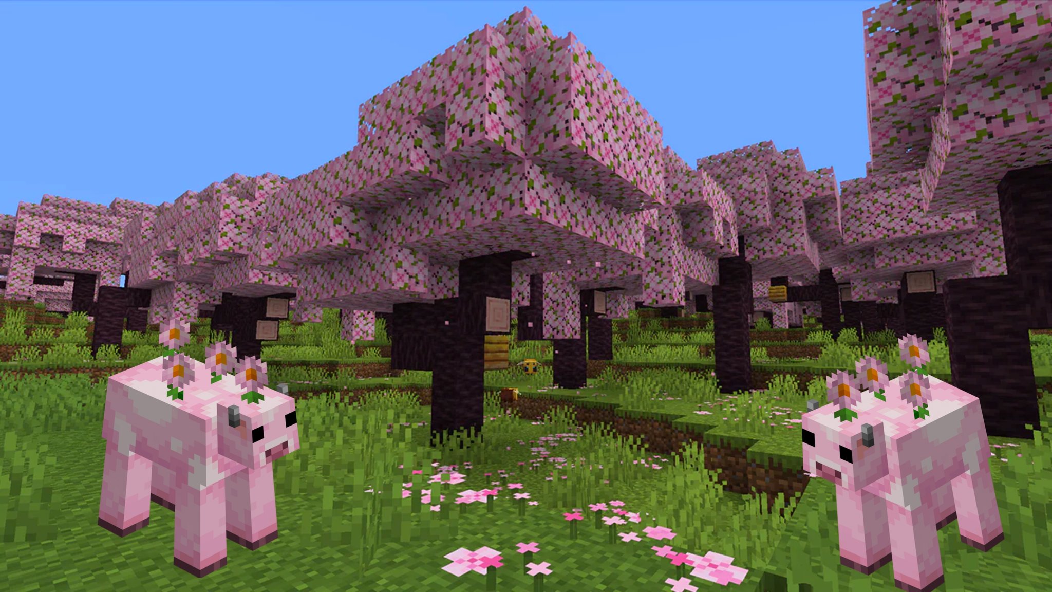 exclusive cherry blossom mob