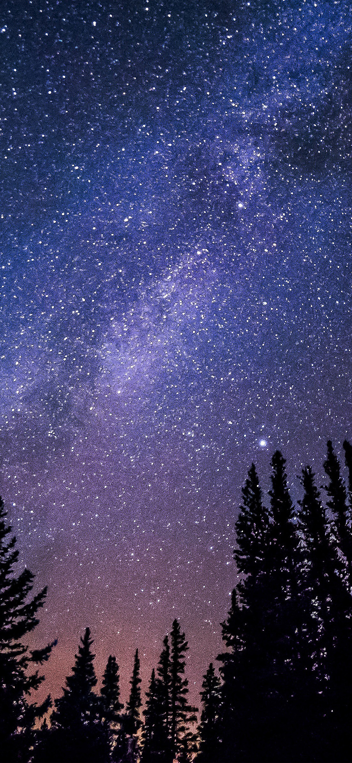 Night Starry Sky Aurora Winter Wallpaper