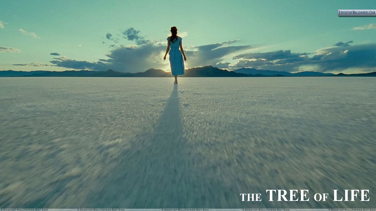 Alone HD Wallpaper on Amazon