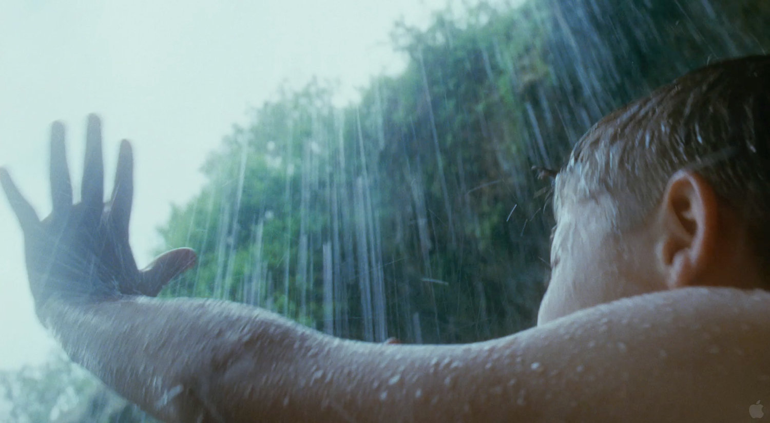 How to Watch a Malick Film