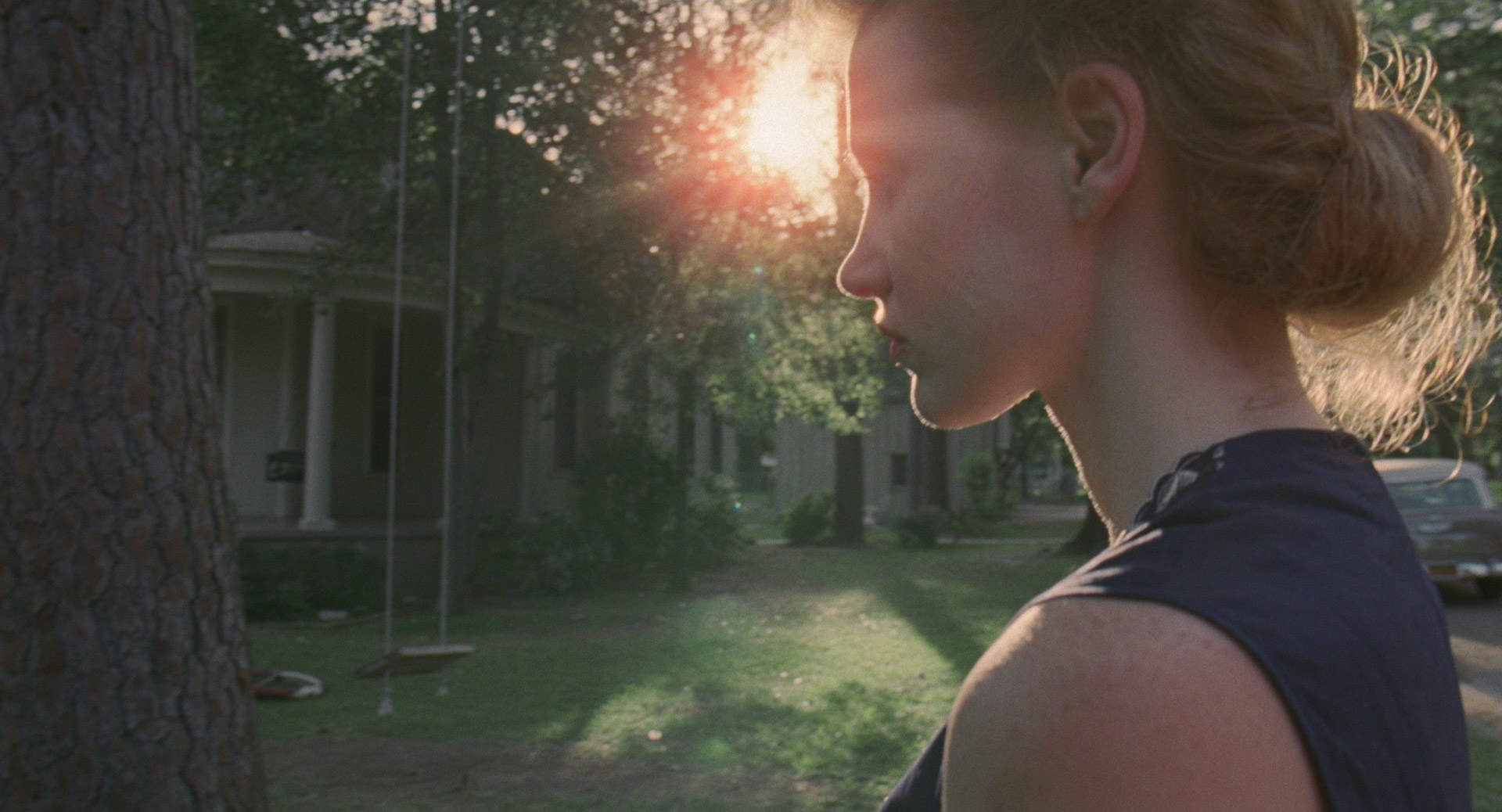 The Tree Of Life 593