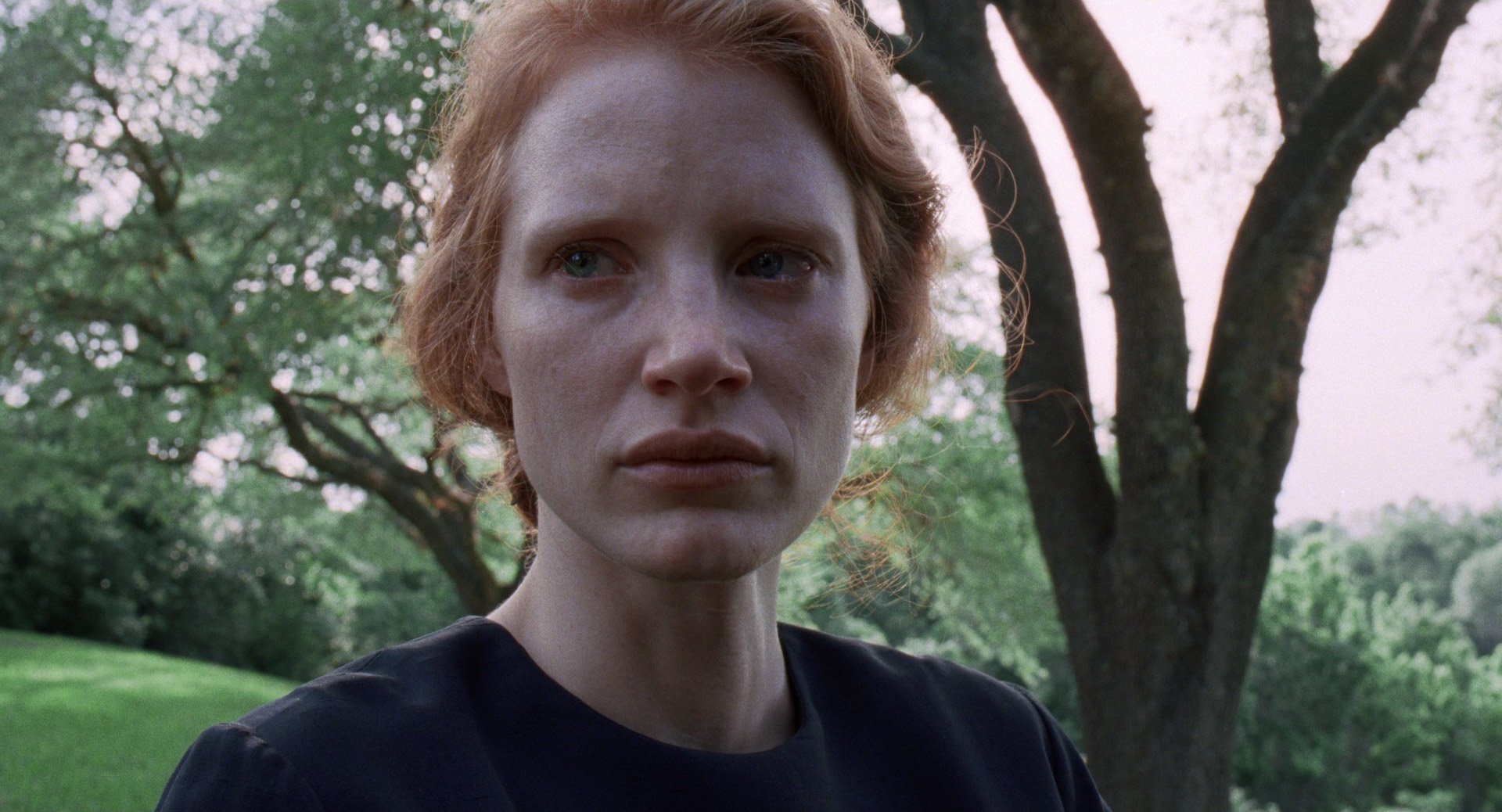 The Tree Of Life 045