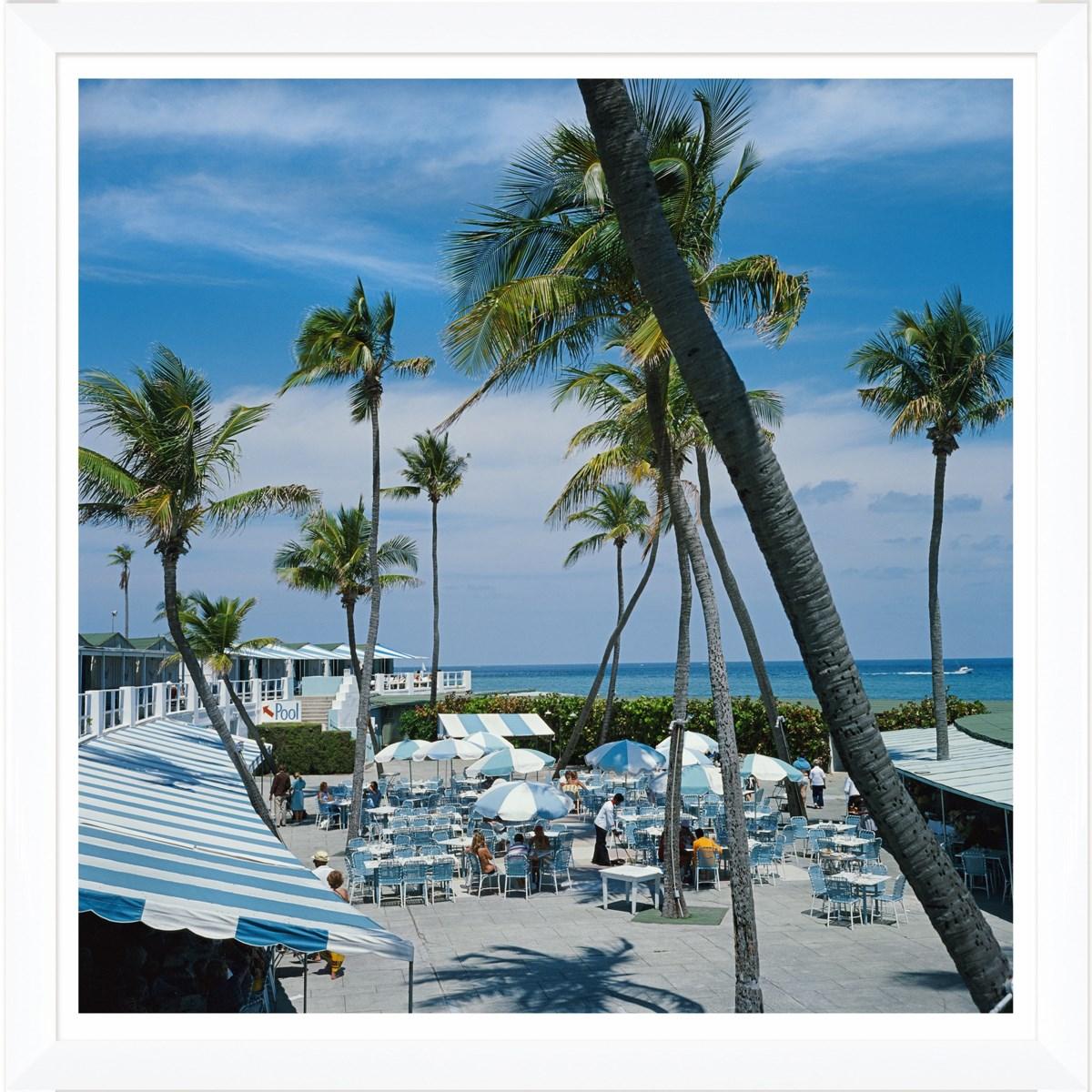 Getty Image 'Florida Palms'